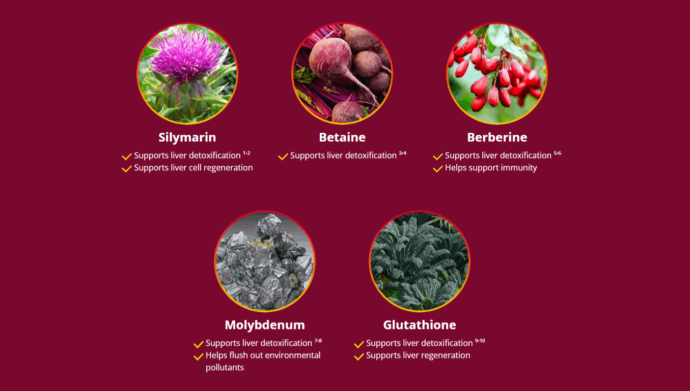 HepatoBurn ingredients